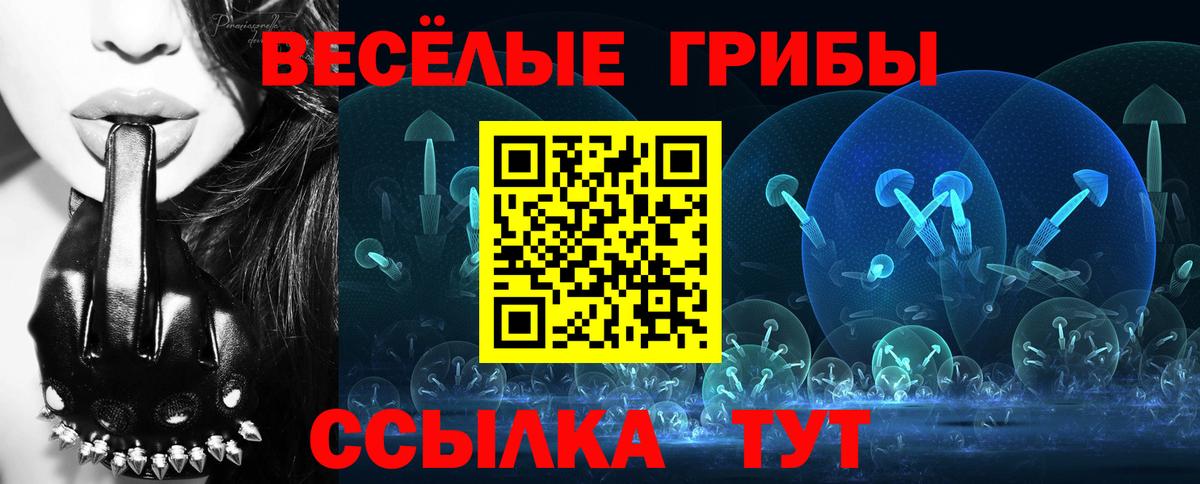 Псилоцибиновые грибы Psilocybine cubensis  Вход с VPN  где купить   Галлюциногенные грибы прущие грибы  Северодвинск 